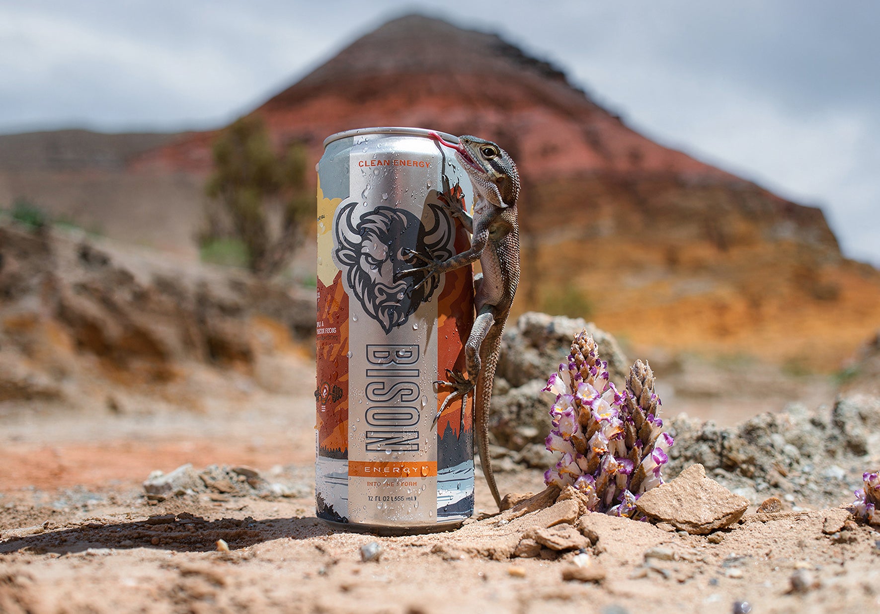 Bison Energy