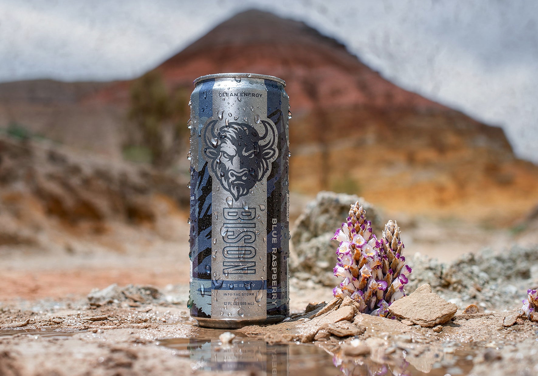 Bison Energy