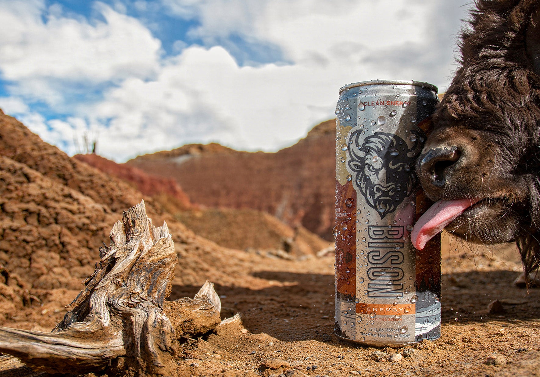 Bison Energy